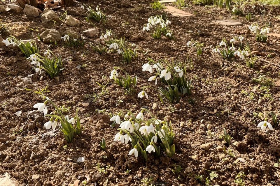 � ������ ��������� �����!. � ����������� ��� �������