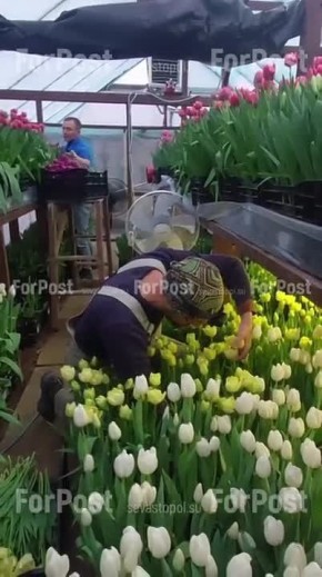 � ����� ������ ������� �������� � �������������� �������� ���