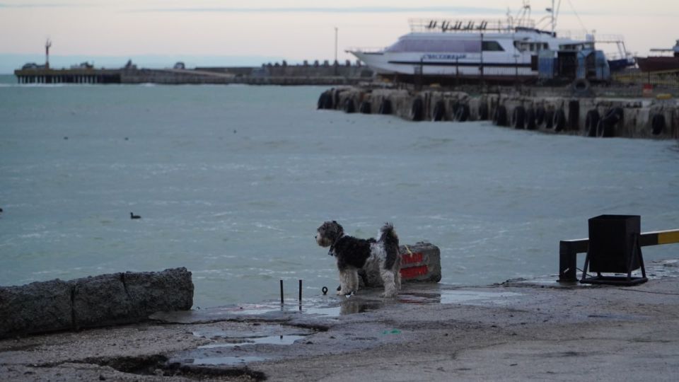 ������� ������ � ����� �� 21 �������