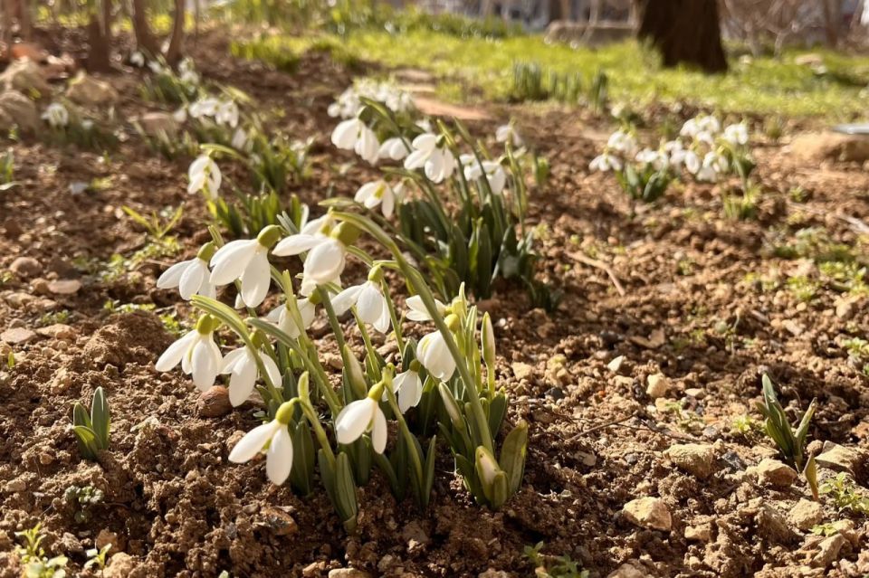 � ������ ��������� �����!. � ����������� ��� �������