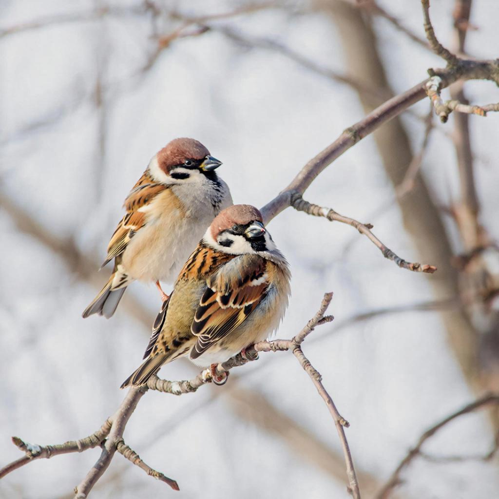 Прогноз погоды в Крыму на 22 февраля