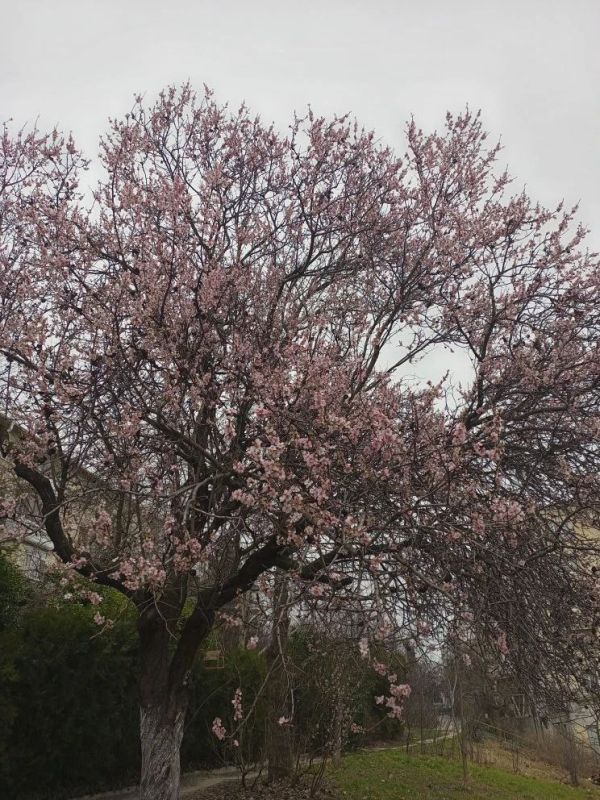 ���� ������� ���, � ������ � � ���� ��������� ���������!