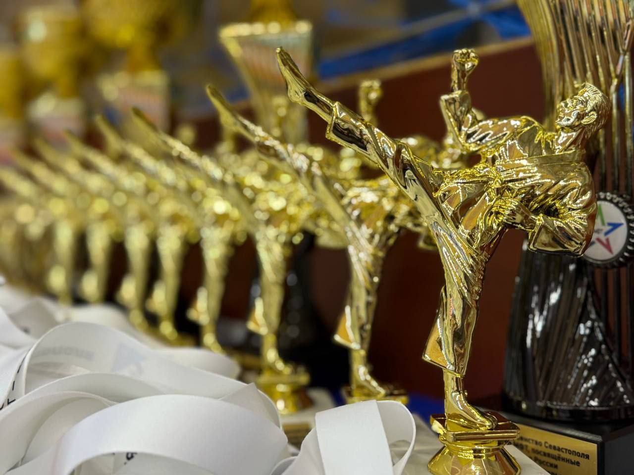 В Севастополе прошел Чемпионат и Первенство по тхэквондо МФТ, посвященный памяти Героя России, Никиты Мечтанова