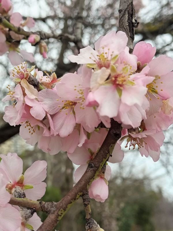 ���� ������� ���, � ������ � � ���� ��������� ���������!