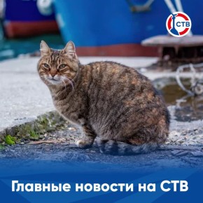 ������� � ������� ����� ��������� ���: