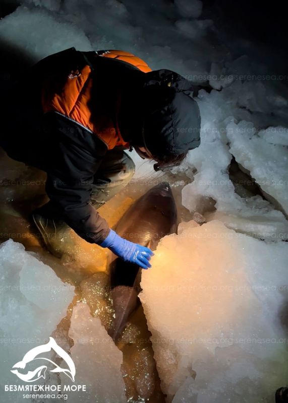 ��� ��������-������ ������� � ������� ����� � ������� ����� � �������� ����