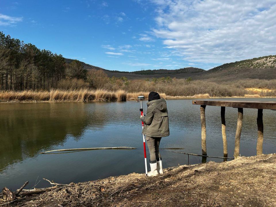 ���� ����������������. �������� ������� ������������ ���������� �� ���������������� ����������� �����������