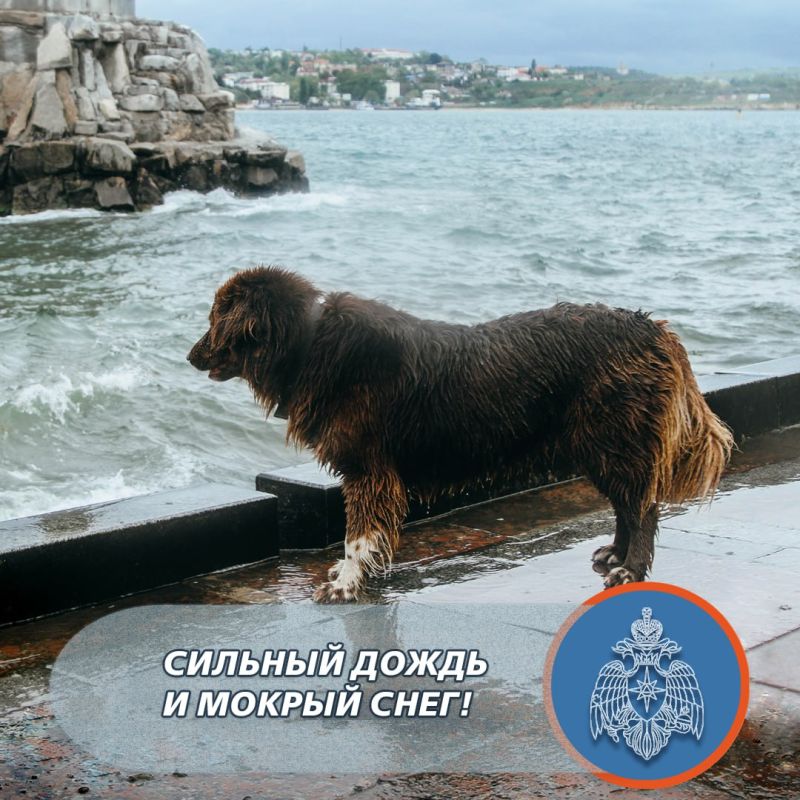 ������� ����� � ������ ���� ������ � �����������!