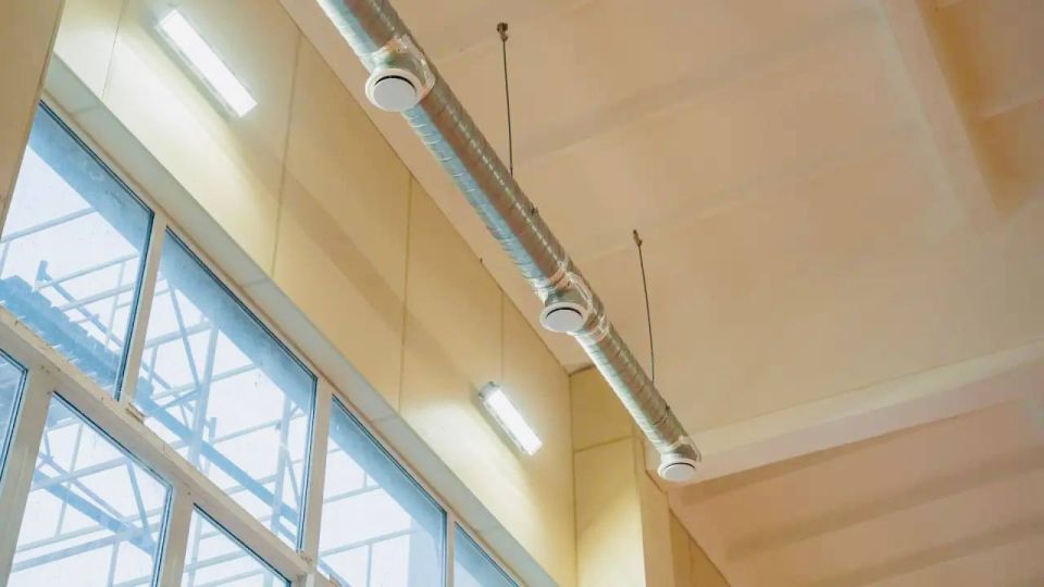 ������ ���������: �� 90% �������� ����������� ������ ���������� ����� ������������ ������� �8 �� ����� ���� ������