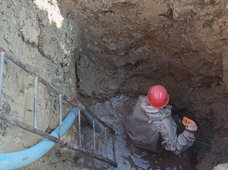 ���������: ������� ������� ������ ������ �������������