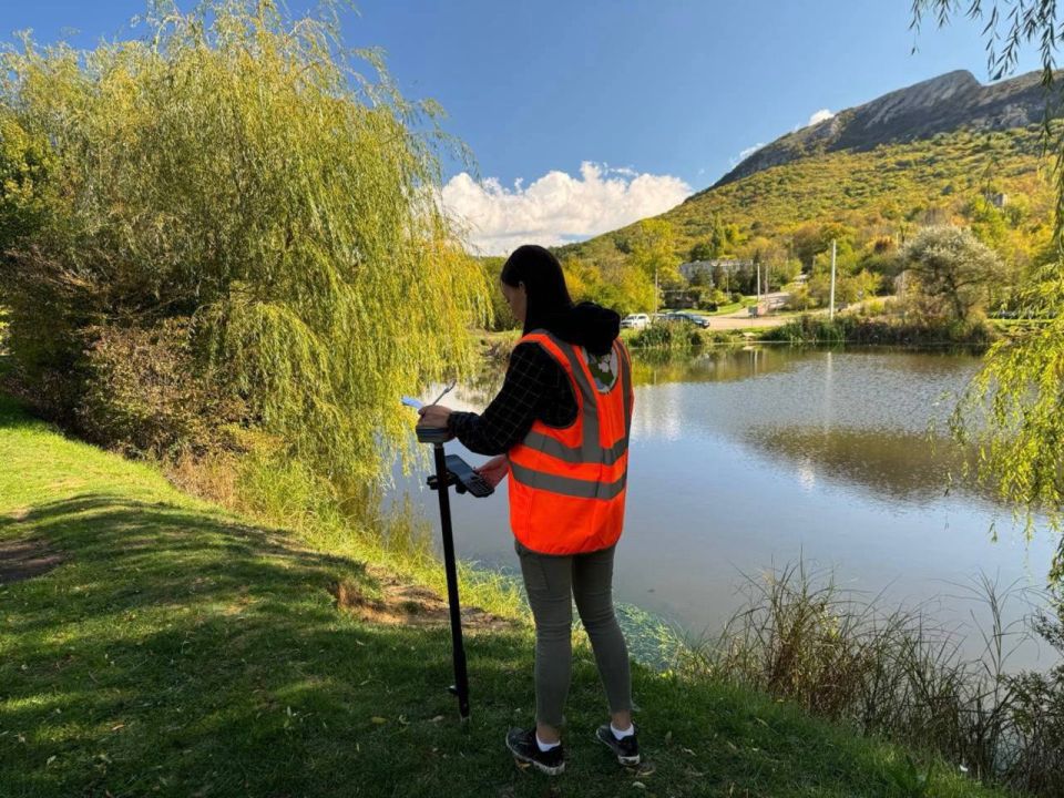 ���� ����������������. �������� ������� ������������ ���������� �� ���������������� ����������� �����������