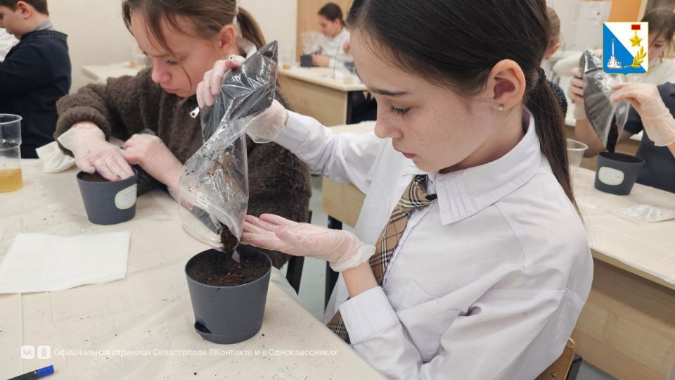 �������� ���������� ����� ��������, ��� ���������� ����������� ��������