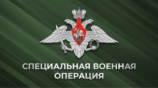 Николай Стариков: 24 февраля - годовщина начала Россией Специальной Военной операции