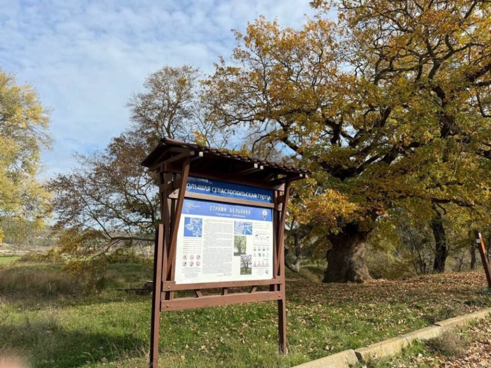 ����������� ���������� ����������߻