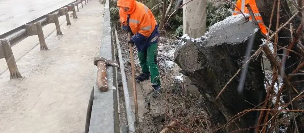 Бригады «Севавтодора» расчищают ливневую и лотки с водоприемниками от листвы и грунта Бригады «Севавтодора» расчищают ливневую и лотки с водоприемниками от листвы и грунта