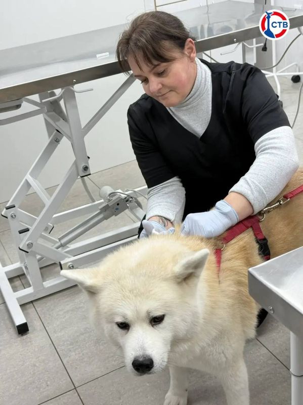 ������ 600 �������� � ������ 2025 ���� ���������� ��������������� ����������