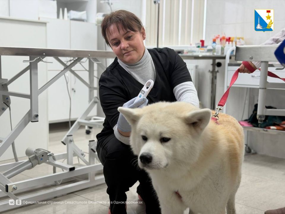 ����� 600 �������� ������ ���������� ����������� � �������������� ����������� � ������ ����