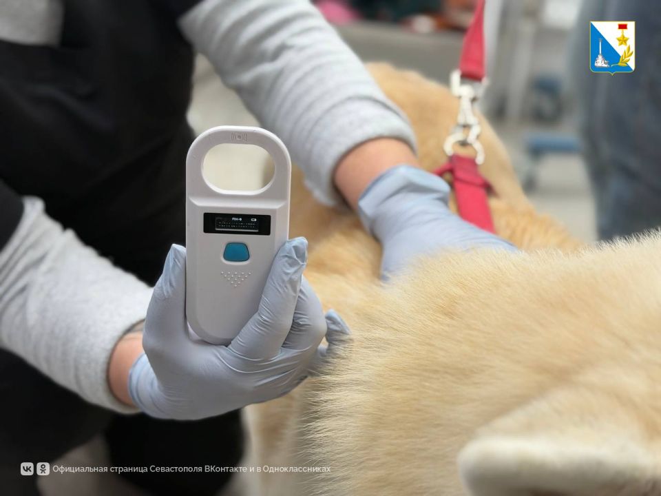 ����� 600 �������� ������ ���������� ����������� � �������������� ����������� � ������ ����