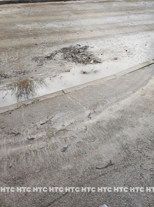 ����� � ���� �29 �� ��������� ������ �������������