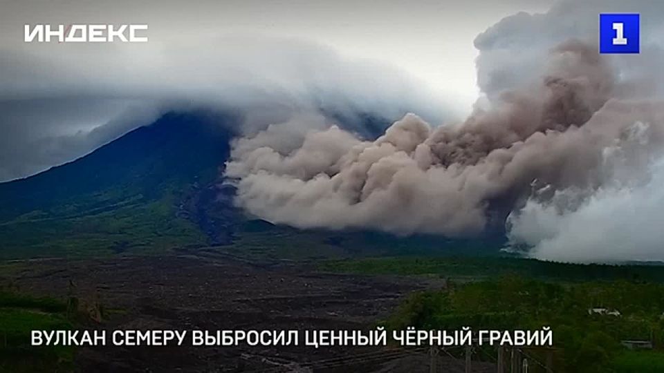 ������������� ������ ������� �������� ����� �� ������ 3 �� ��� �������� � ��� 6 676 � ��� ������� ����