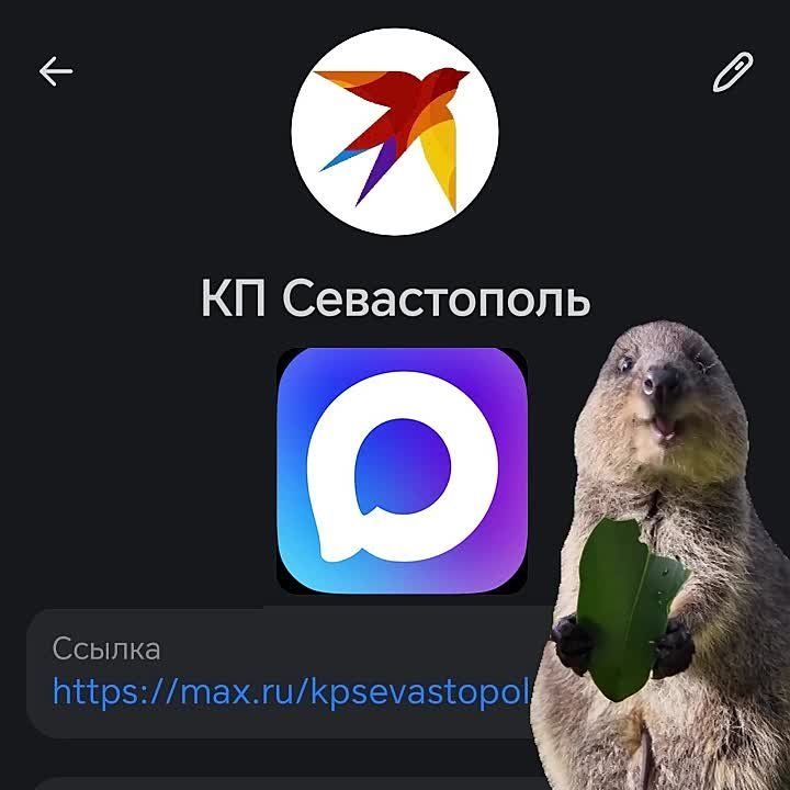 �� � �� ����������, ��� ��-����������� ���� � ������������� ����������!