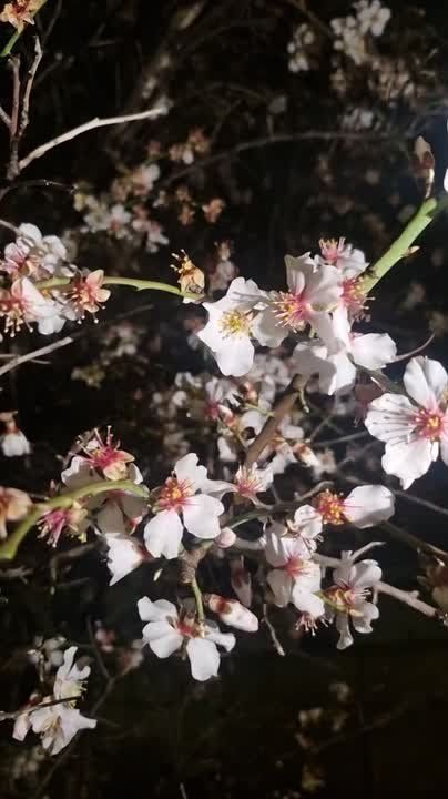 ����, ������� � ������������ �����