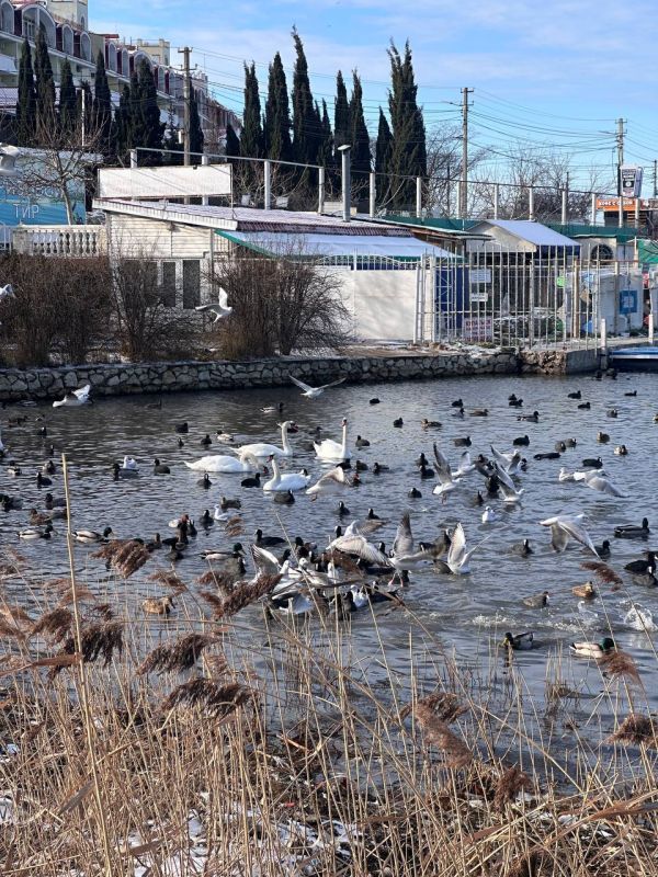 ������ �� 26 ������� :