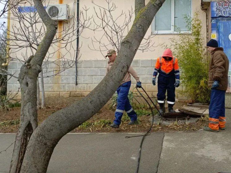 ���������: ������� �������. ���������� ������� �������� �� ��. ���. �������� � �� ��. ���������� ���� ������� �������