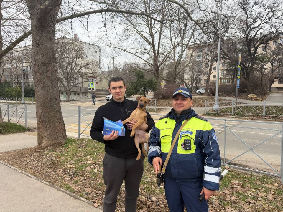 ��������������� ����������������� ��������� ��������� � �������� ���������� ���