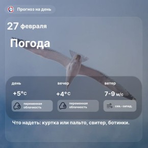 Доброе утро, севастопольцы! Сегодня в городе переменная облачность — около +5°C днём