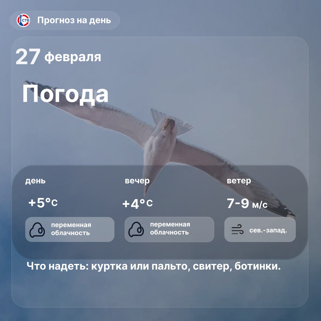 Доброе утро, севастопольцы! Сегодня в городе переменная облачность — около +5°C днём