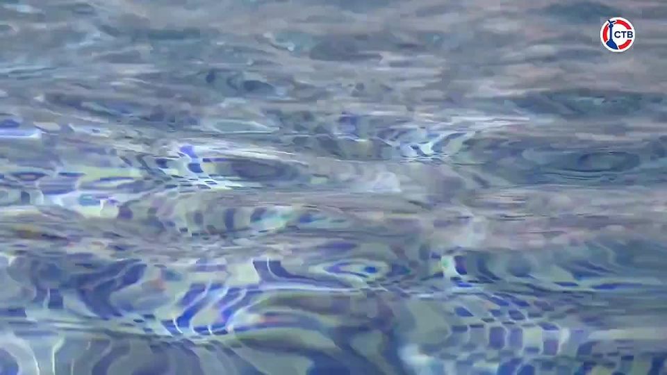 � ����������� ����� 1000 ����� ������ �������� � 2026 ����