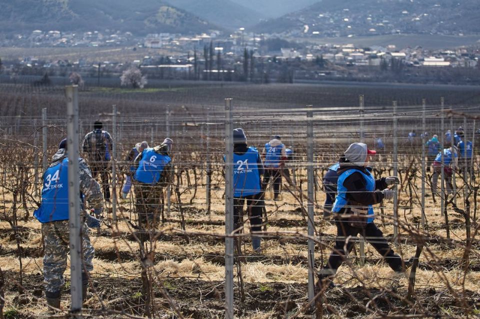 ������� ���������: ������ ������� � ������ ��������� �������� ����������������� ���������� �� ������� ����������� ������ ����� ������ 2026�