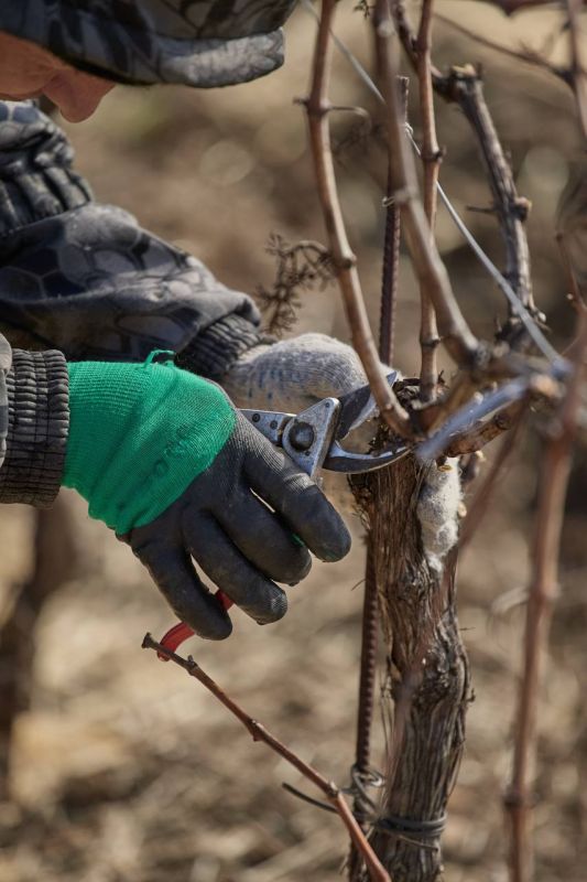 ������ ���������: � ����������� ������� ������ ���������� ����������� ����