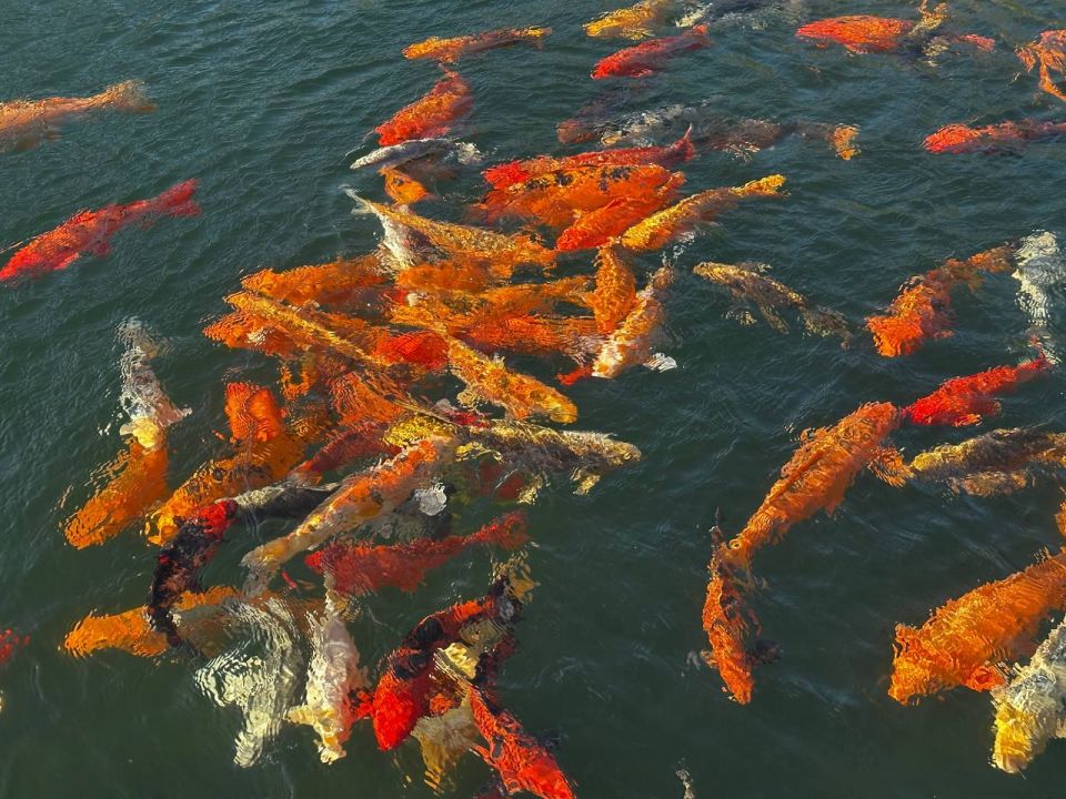 ��������� ���� ������. � ���� ������, ����������� ����� ����� ��������, ������� ������������ ����