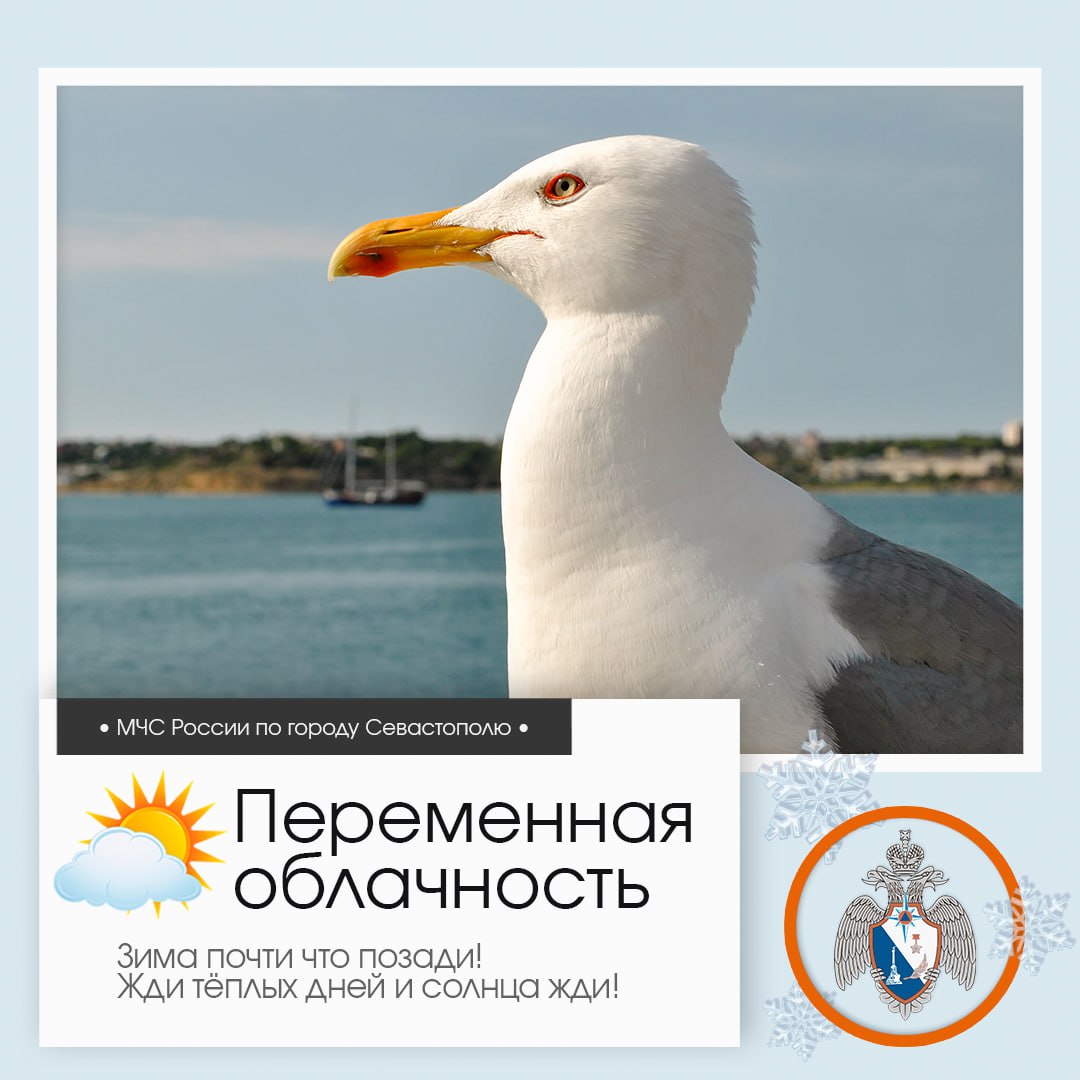 Доброе утро, Севастополь!. По данным гидрометцентра, 28 февраля в Севастополе будет переменная облачность