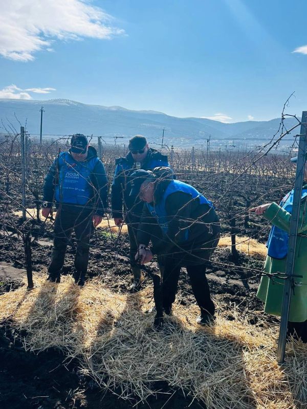 ������� ���������: ������ ������� � ������ ��������� �������� ����������������� ���������� �� ������� ����������� ������ ����� ������ 2026�