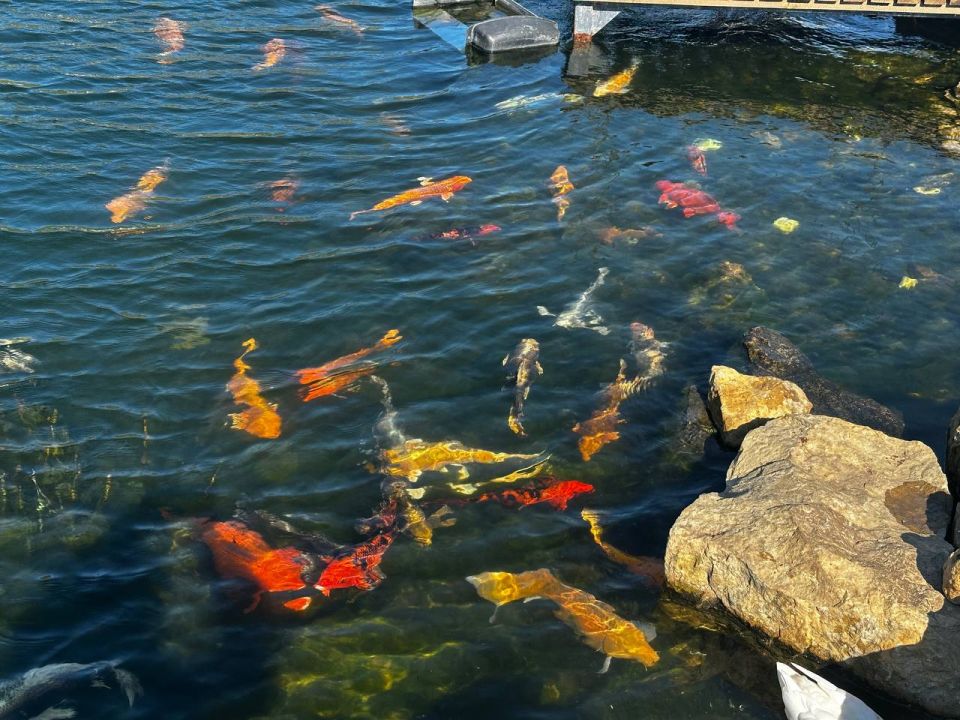 ��������� ���� ������. � ���� ������, ����������� ����� ����� ��������, ������� ������������ ����