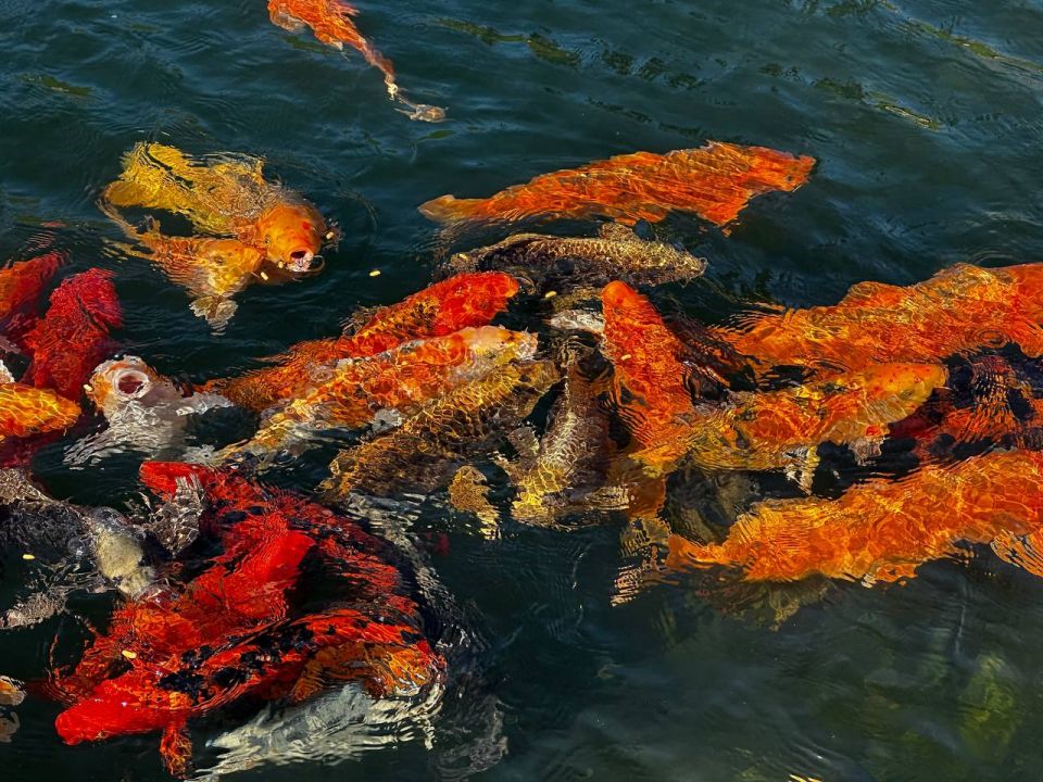 ��������� ���� ������. � ���� ������, ����������� ����� ����� ��������, ������� ������������ ����