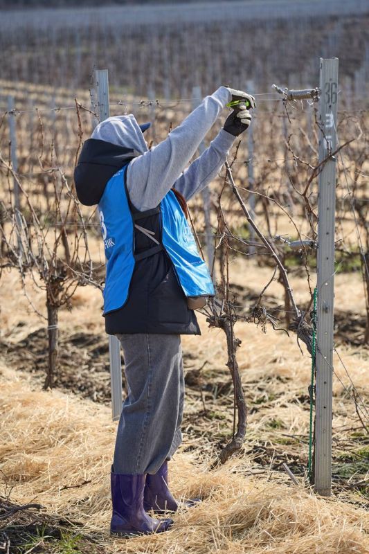 ������ ���������: � ����������� ������� ������ ���������� ����������� ����