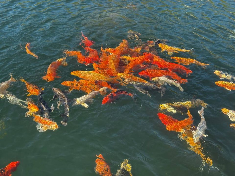 ��������� ���� ������. � ���� ������, ����������� ����� ����� ��������, ������� ������������ ����