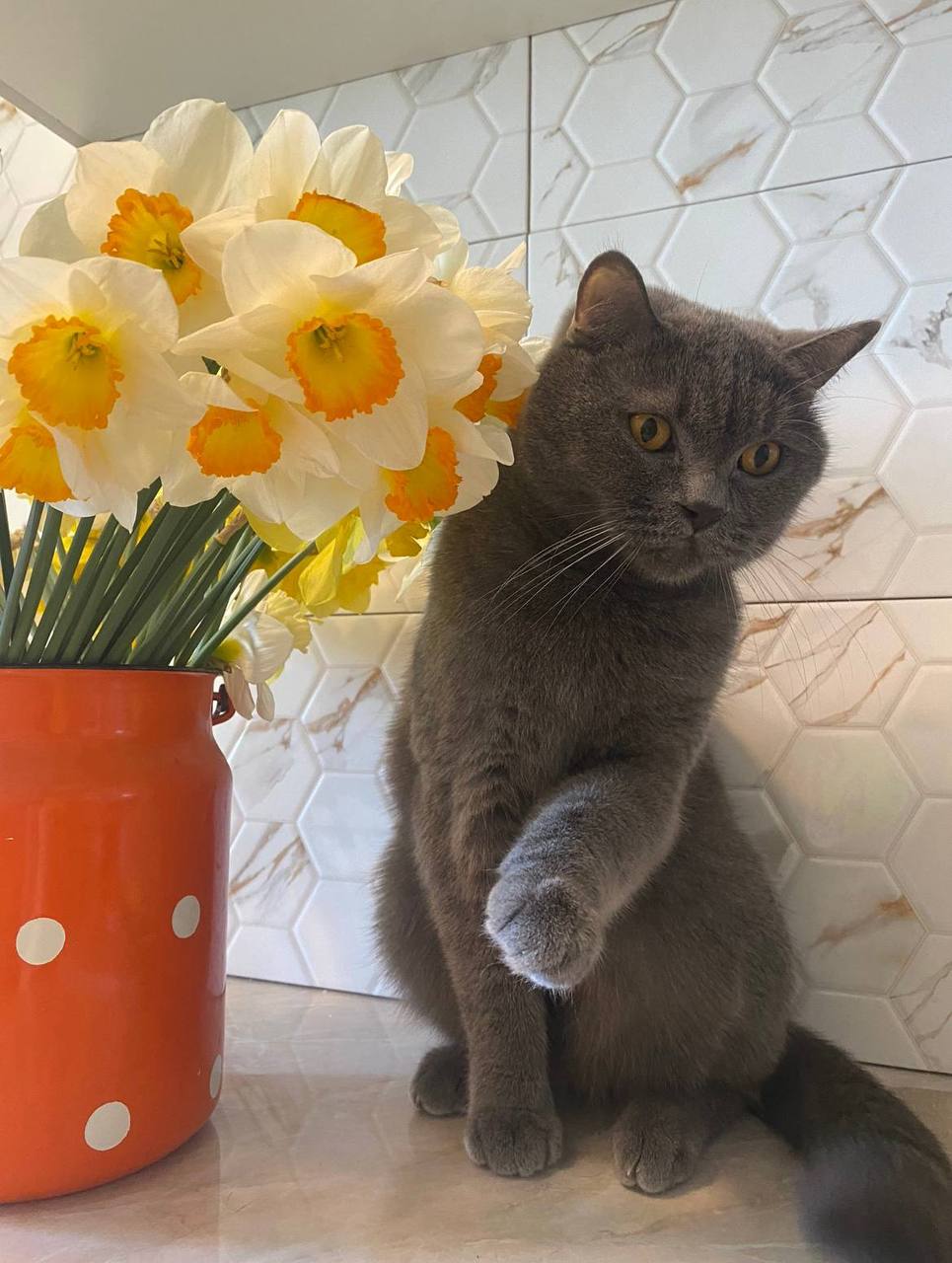 Внимание! Пост с повышенной пушистостью! Внимание! Пост с повышенной пушистостью!