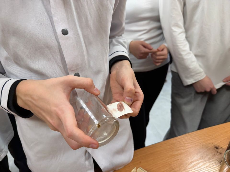 ����������� ��������-������������ ����������� ��������������� ���������� � �������� � ��������� ������� ����� ������