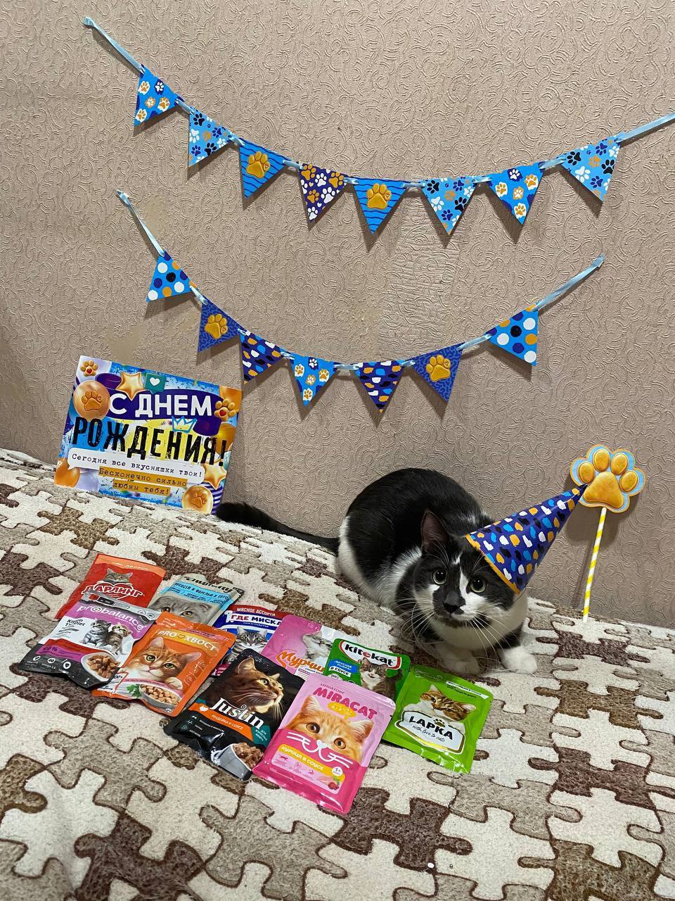 Внимание! Пост с повышенной пушистостью! Внимание! Пост с повышенной пушистостью!