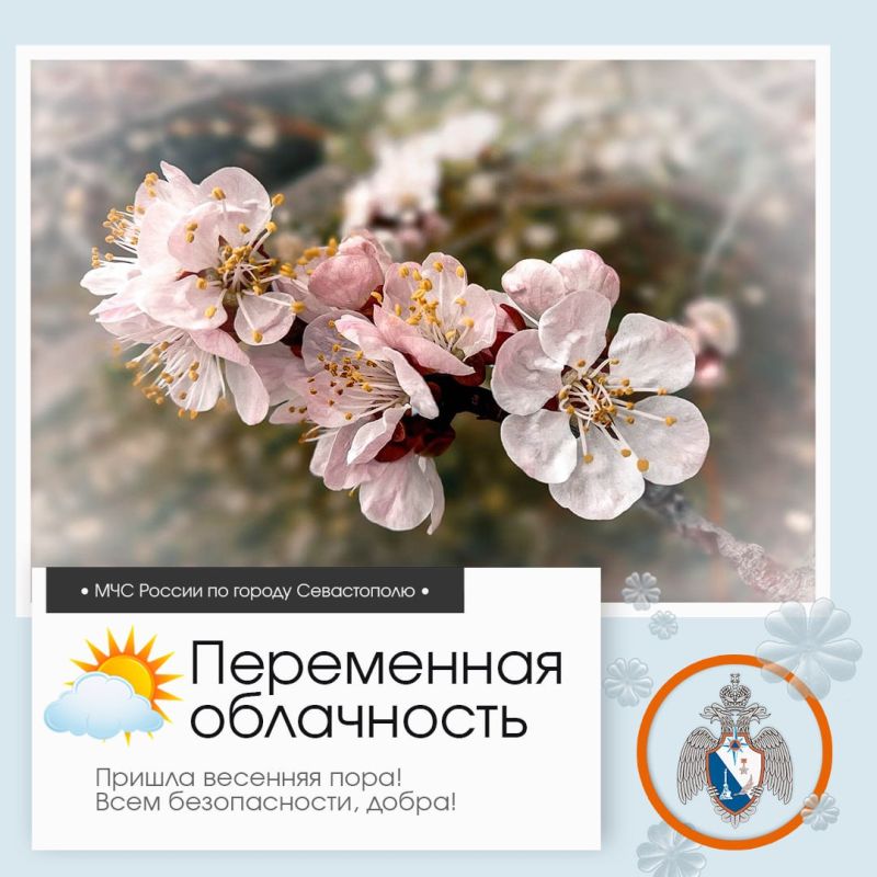 ����������, �����������!. �� ������ ��������������, 1 ����� � ����������� ����� ���������� ����������