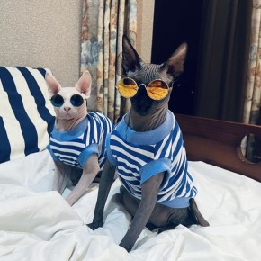 ���, ���� � �����: ��� ����� � ������ ��������������?