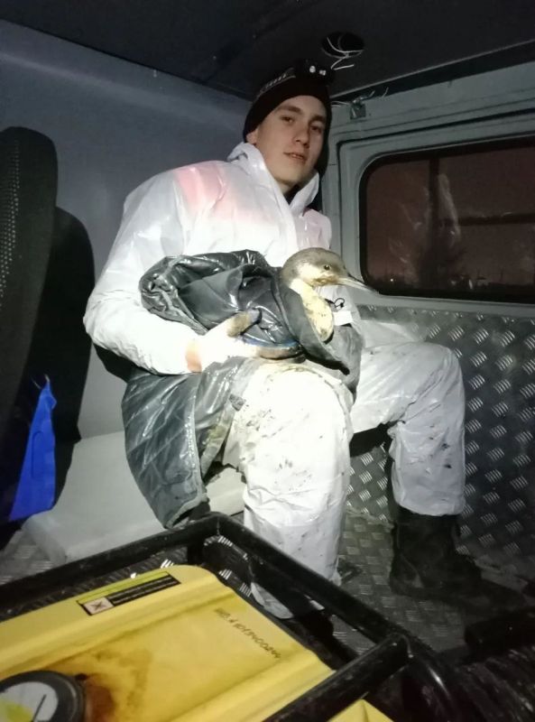 ��������� � �����. � ������������ ������ ����������� ������ ���������� � ������ ���������������� � ��������� ������