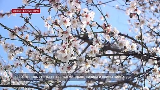 � ���������� 8 ����� � ����������� ������� �������, ����� � �����