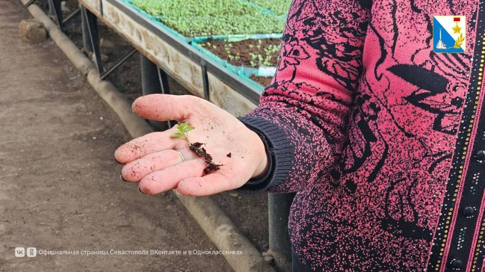 ������� ������� � ������� ������� 20 ����� ������ ��� ������