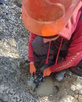 ���������: ������� ������� ������ ������ �������������